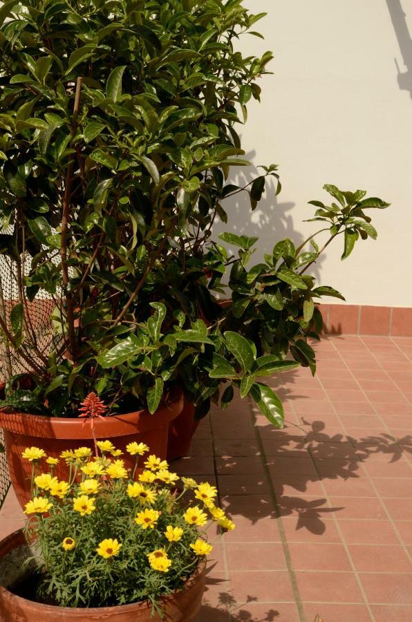 شقة Terrazza Eurialo نابولي المظهر الخارجي الصورة